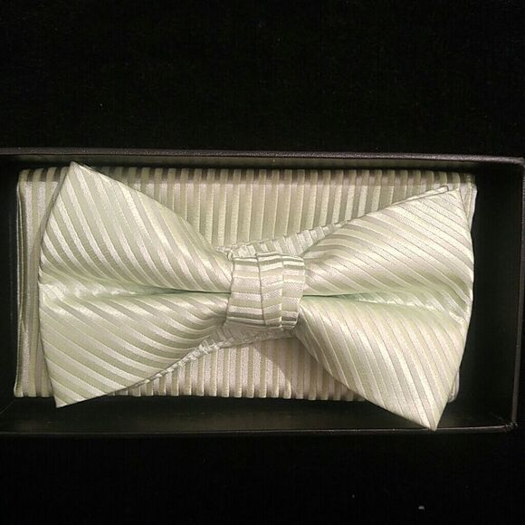 MEN'S LARR BRIO BOW TIE AND HANKY SET - Picture 1 of 2